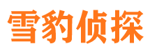 龙海私家调查公司